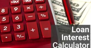 Loan Interest Calculator