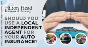 Local Autoplan Agents